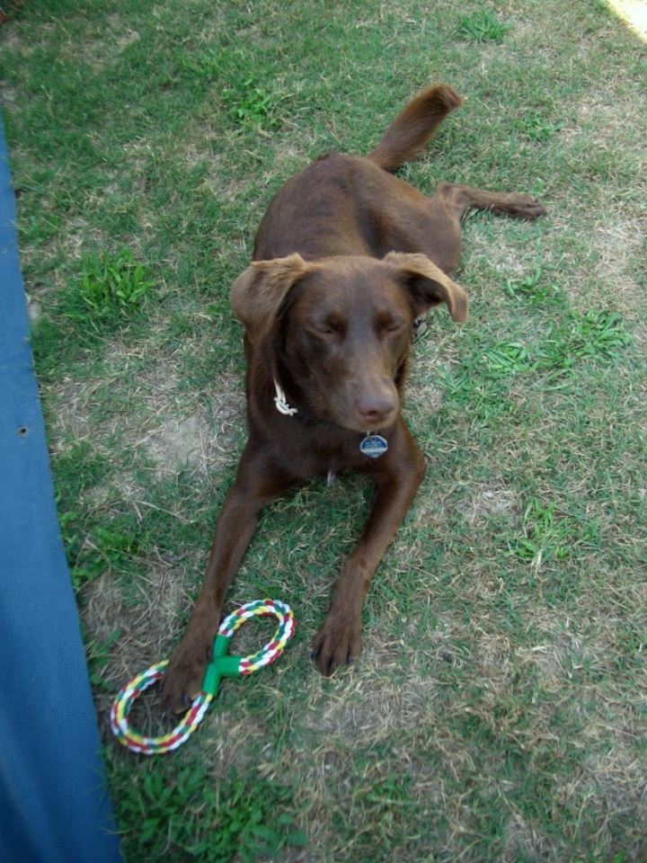 Choquita mit Spielzeug