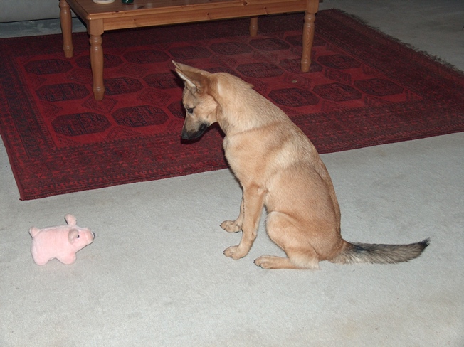 Ingrid mit Spielzeug