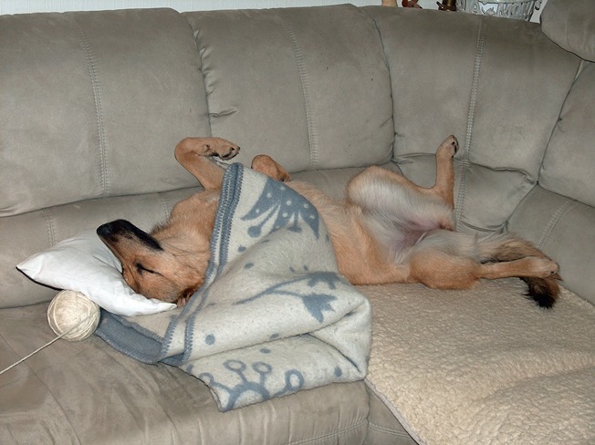 Ingrid v&ouml;llig geschafft