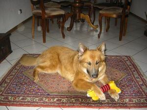 Jessica mit Spielzeug