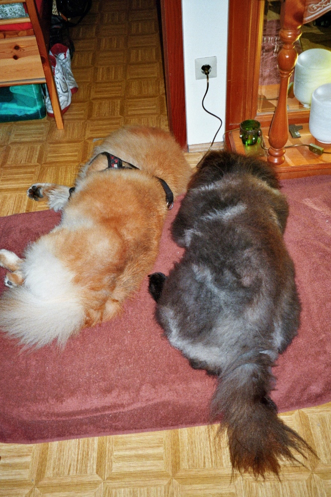 Maci mit Mia schlafend