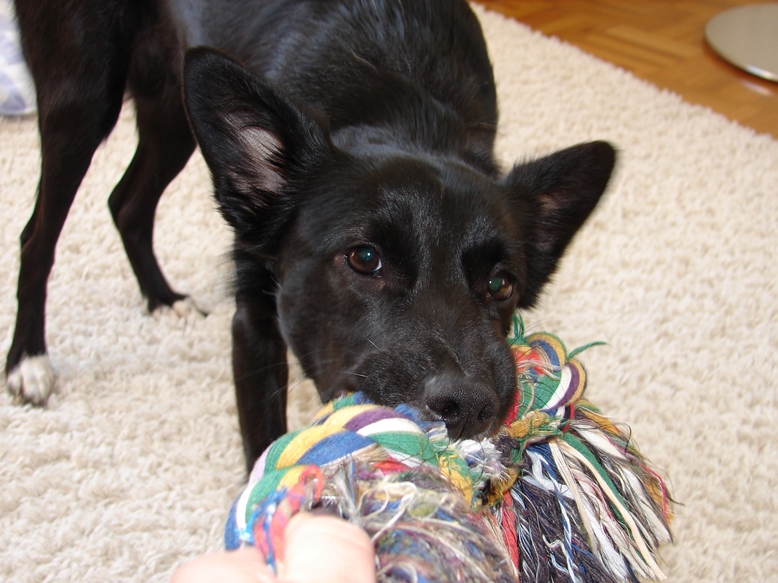 Nutela mit Wolkn&auml;ul