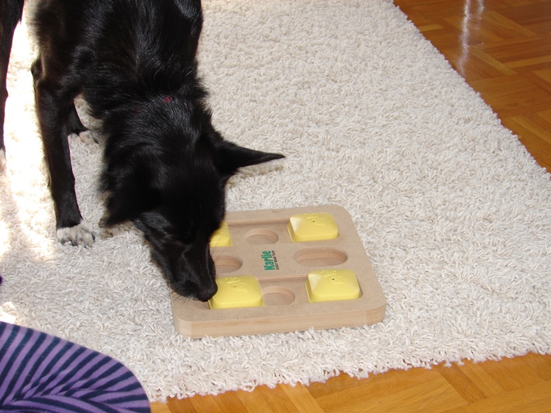 Nutela beim Suchspiel