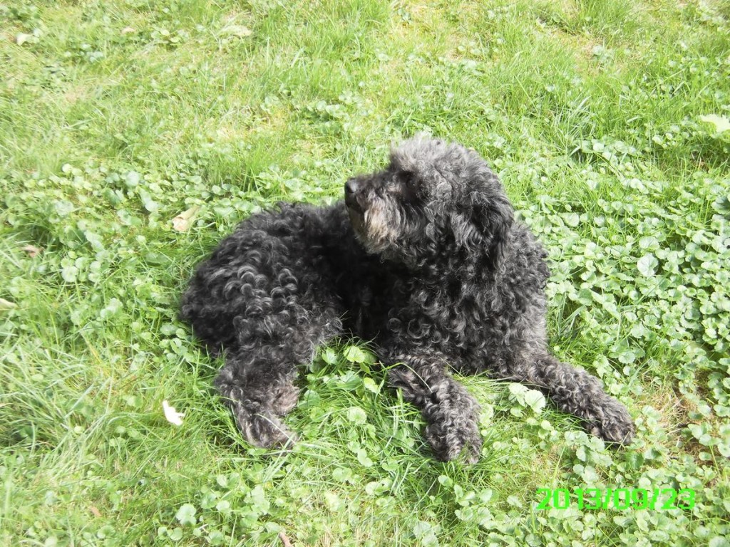 Lucy