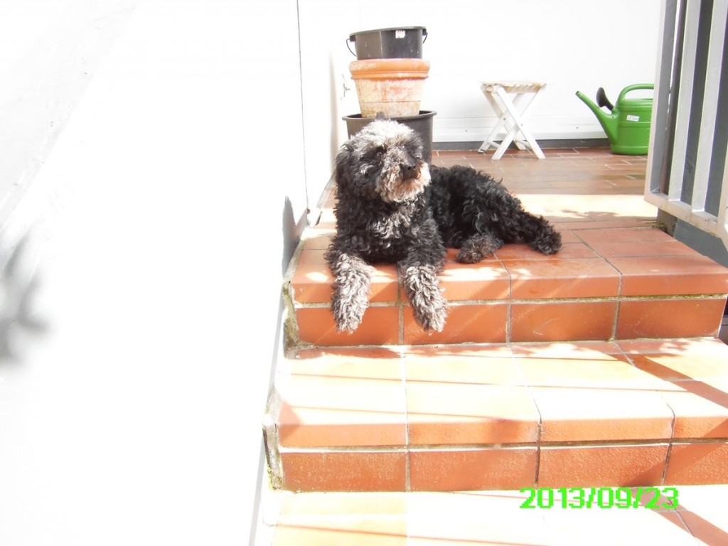 Lucy