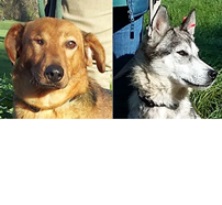 Kopf von Bo & Jasmin